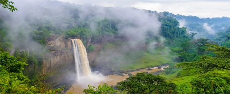 Sinharaja Rainforest Reserve