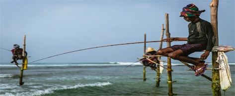 Stilt Fishermen