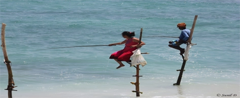 Stilt Fishermen