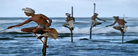 Stilt Fishermen at Ahangama or Weligama