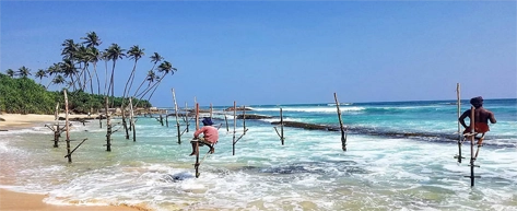 Stilt Fishermen at Koggala (Optional Stop)