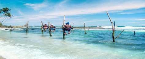 Stilt Fishermen at Koggala