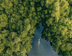 Tangalle to Galle Fort and Madu River Day Tour