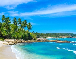 Tangalle to Whale Watching & Coconut Tree Hill Day Tour