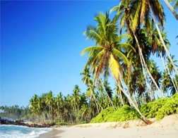 Colombo taxi airport Tangalle Taxi Service