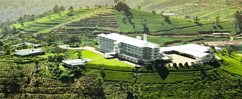 Tea Plantations & Factories
