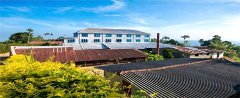 Tea Plantations & Factories