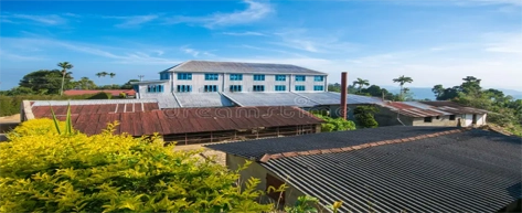 Tea Plantations & Factories