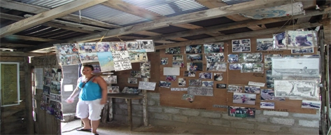 Tsunami Photo Museum or Memorial Stop