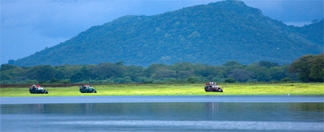 Udawalawe National Park