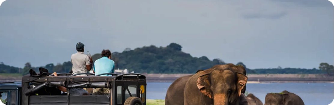 Udawalawe National Park
