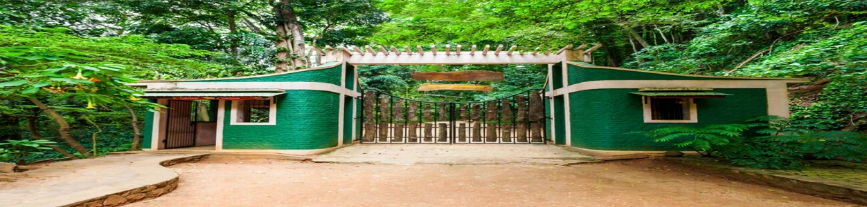 Udawattakele Forest Reserve