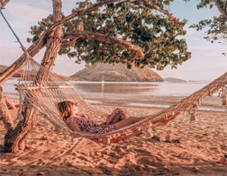 Unawatuna to Whale Watching & Coconut Tree Hill Day Tour