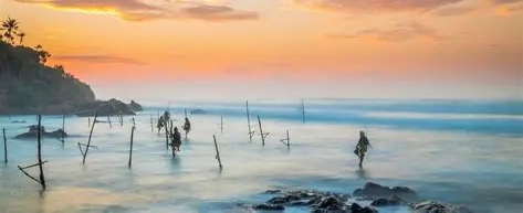 Weligama Stilt Fishermen