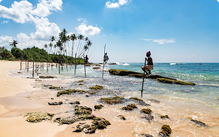 Best Beaches in Sri Lanka: Where to Go for Sun, Surf, and Relaxation