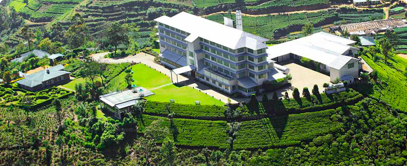 Tea Plantations & Factories